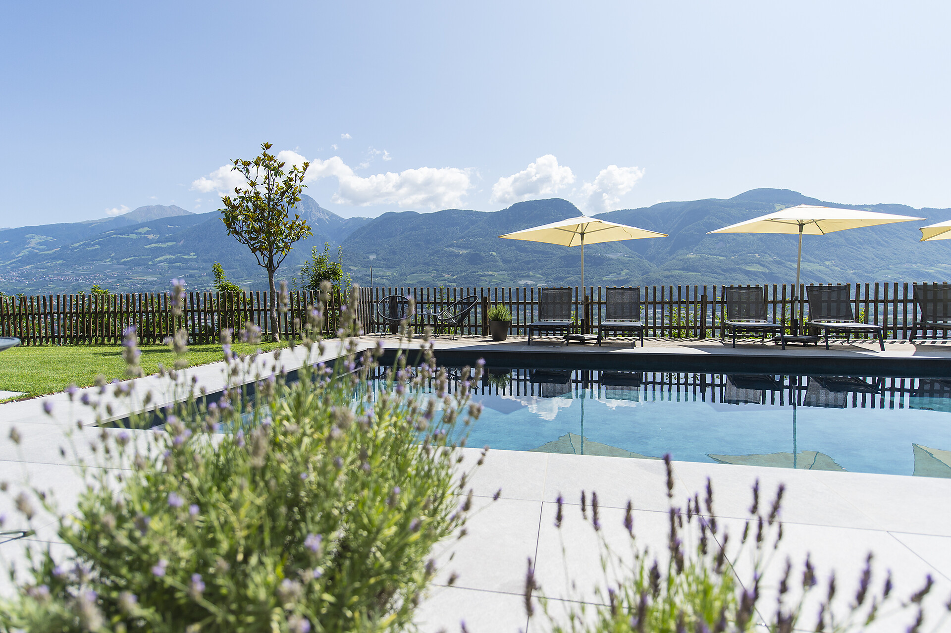 Piscina e lavanda