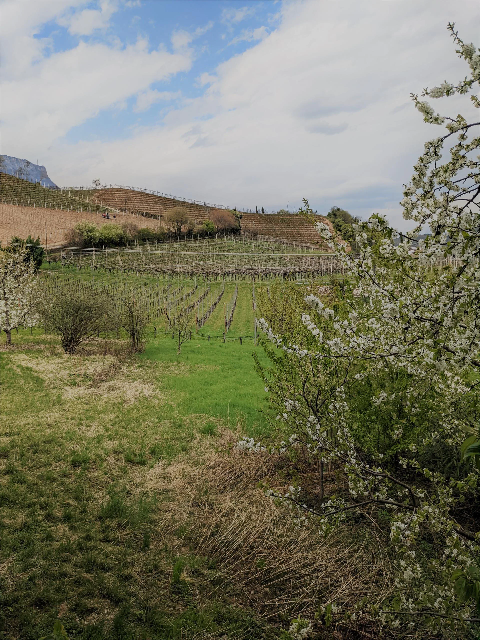 Evas Seehaus Kaltern an der Weinstraße/Caldaro sulla Strada del Vino 12 suedtirol.info