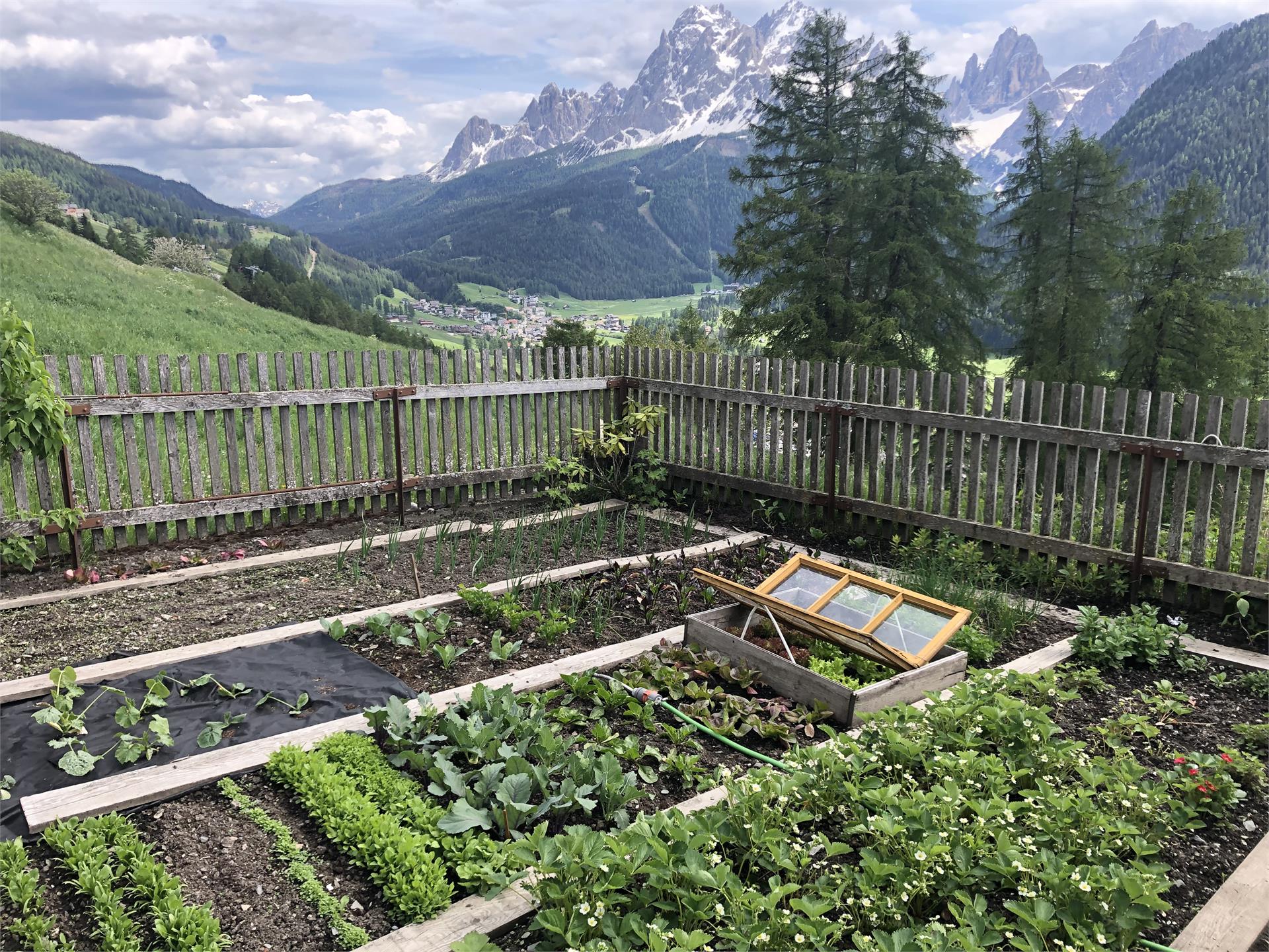 Egarterhof Sesto 27 suedtirol.info