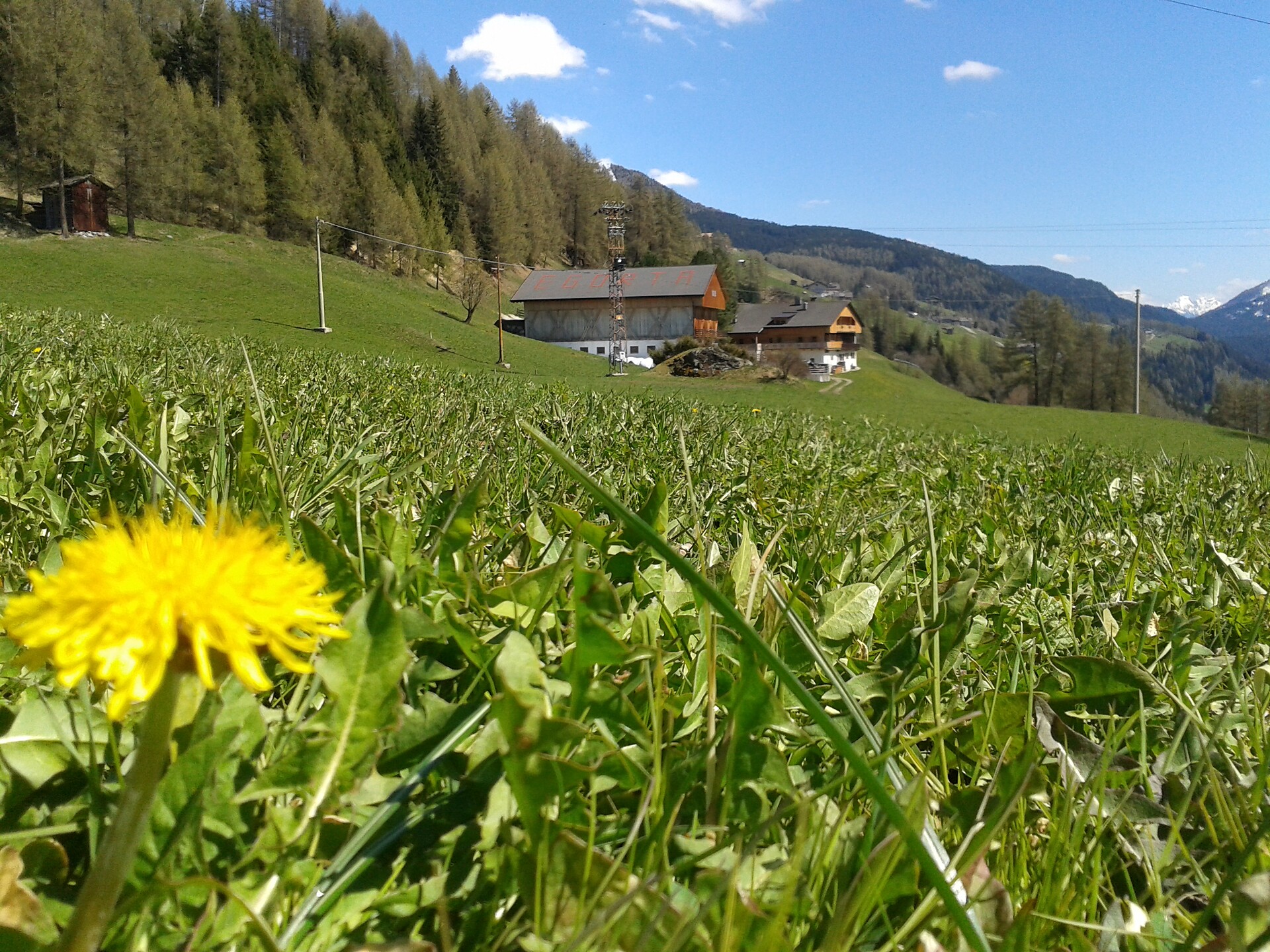 Egarterhof