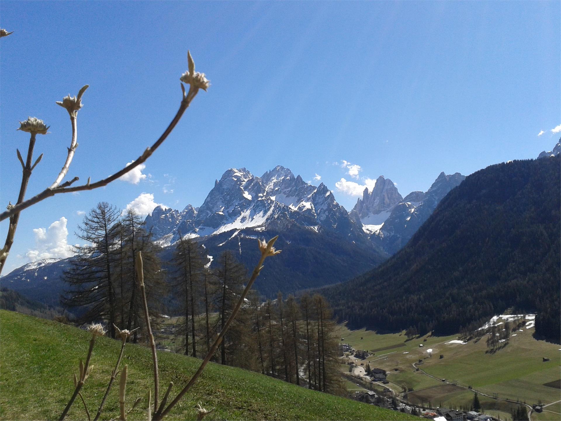 Egarterhof Sesto 12 suedtirol.info
