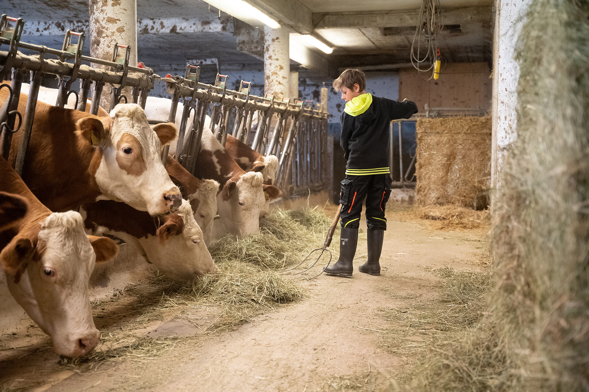 Elslerhof Toblach farm holidays in the stable with the animals