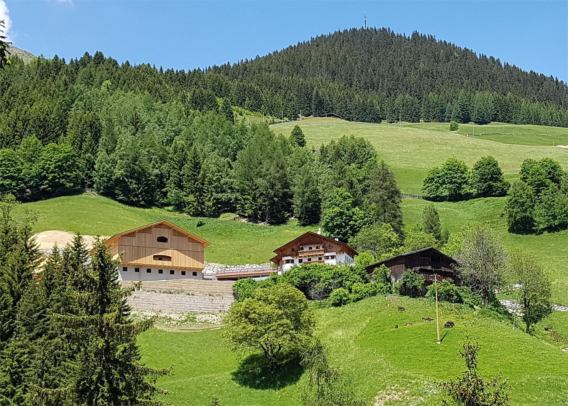 Eggerhof Sarntal/Sarentino 1 suedtirol.info