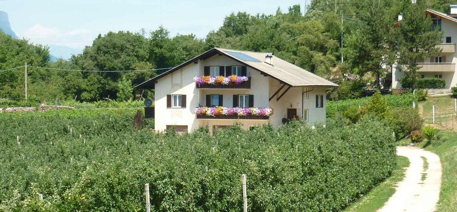 Eichholzhof Montan 2 suedtirol.info