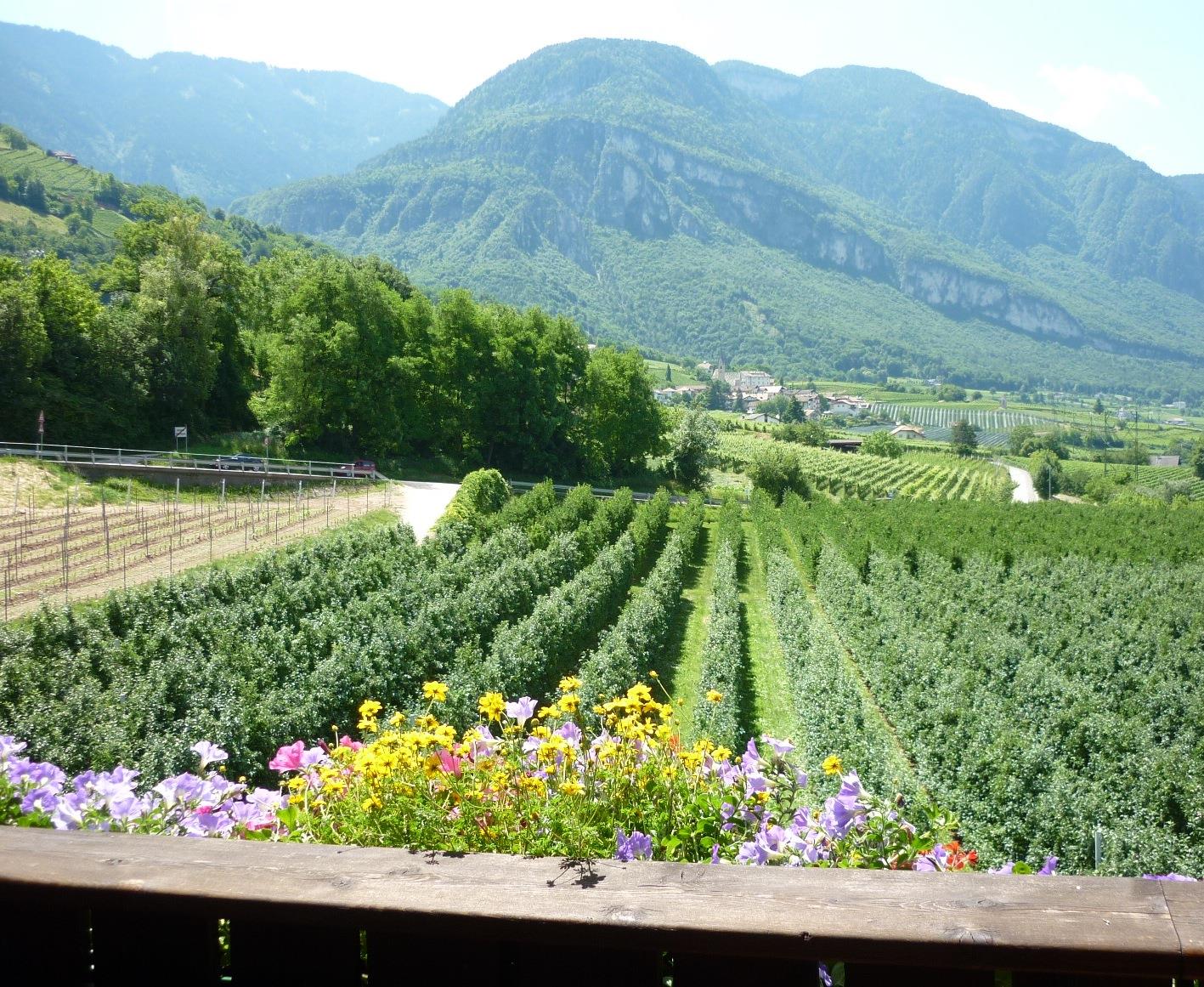Eichholzhof Montan 5 suedtirol.info