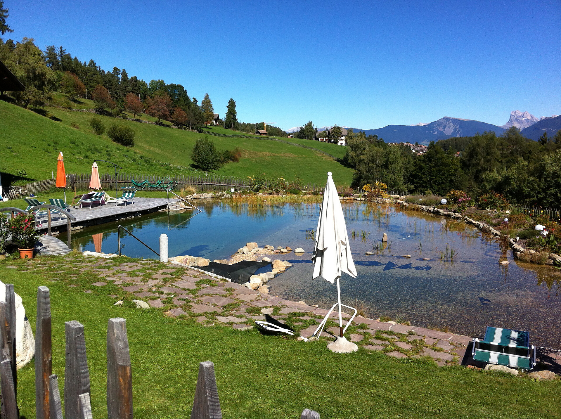 our natural swimming lake