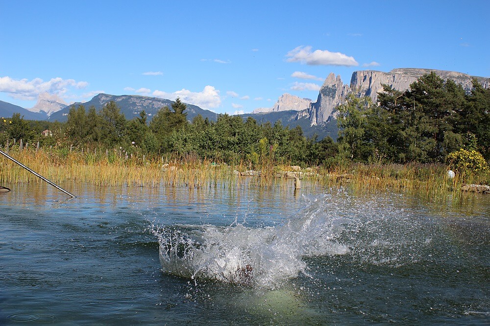 our natural swimming lake