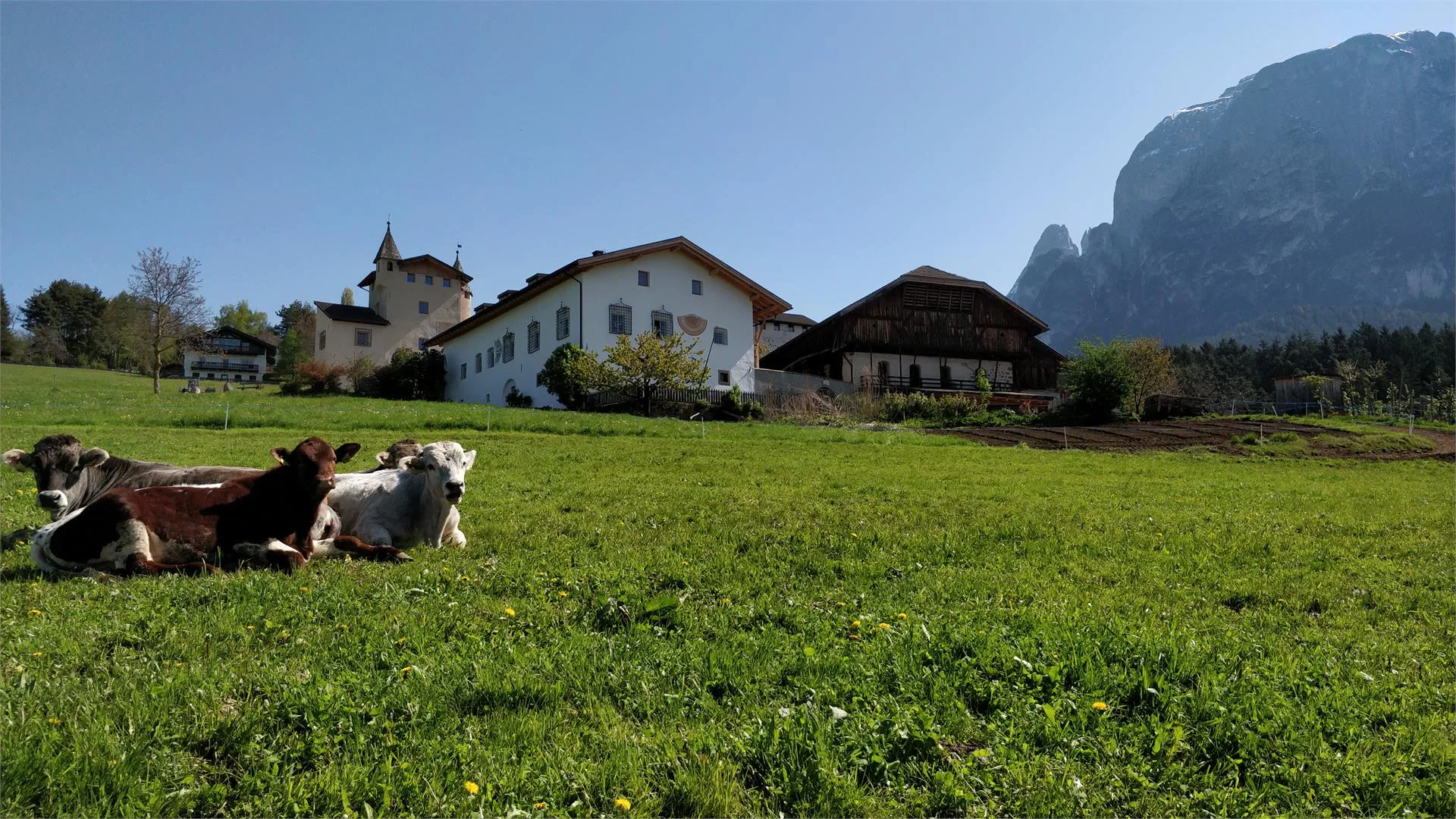 Maso Zimmerlehen Fiè allo Sciliar 21 suedtirol.info