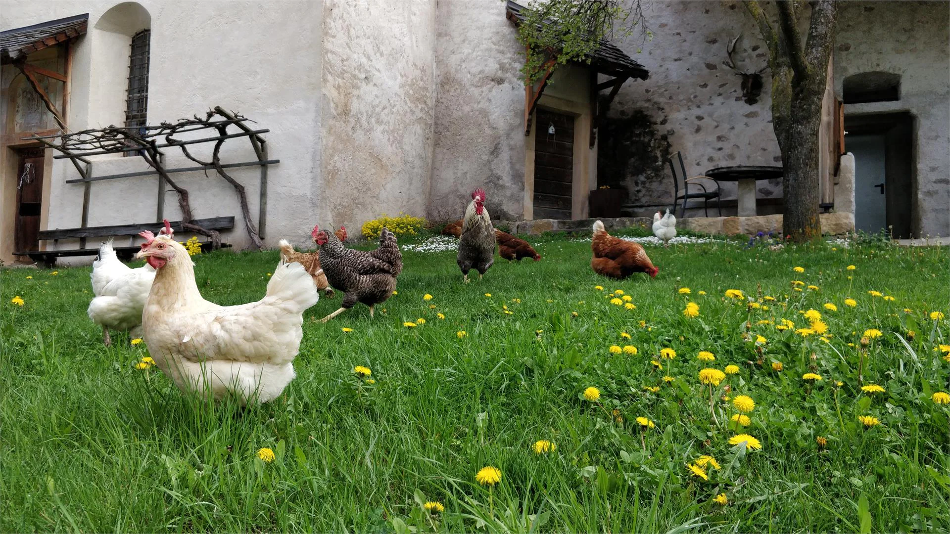 Maso Zimmerlehen Fiè allo Sciliar 20 suedtirol.info