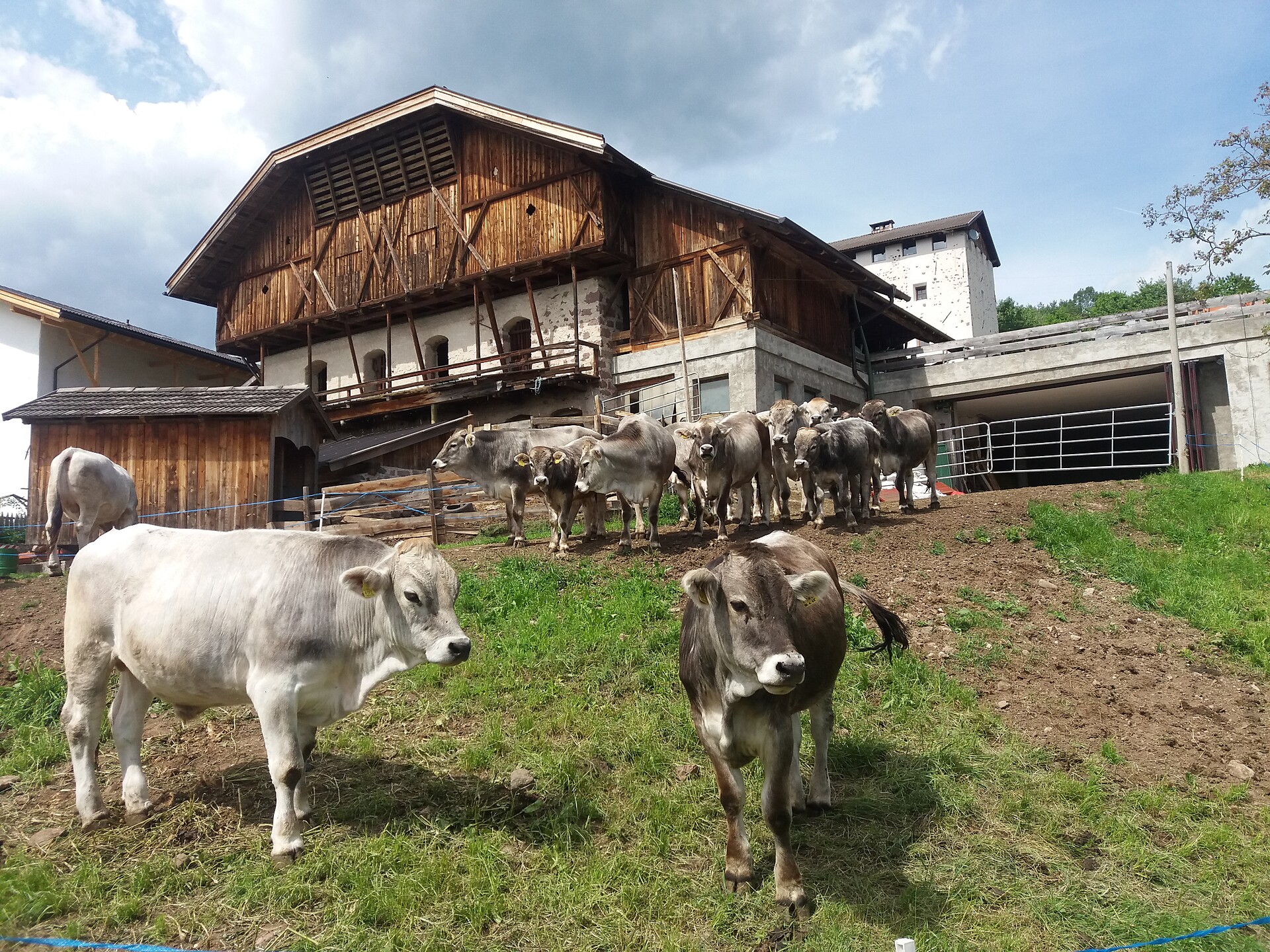 Edelansitz Zimmerlehen