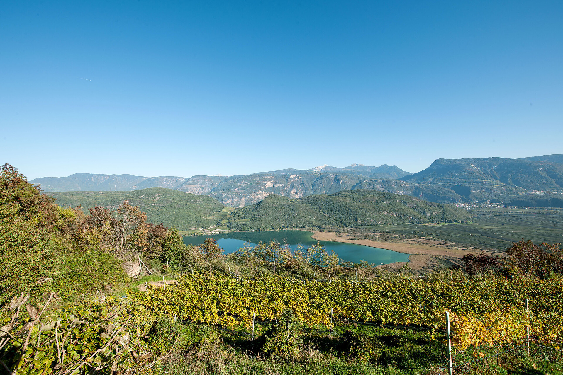 Eichenhof - Alto Adige Wine Road - #24 - suedtirol.info