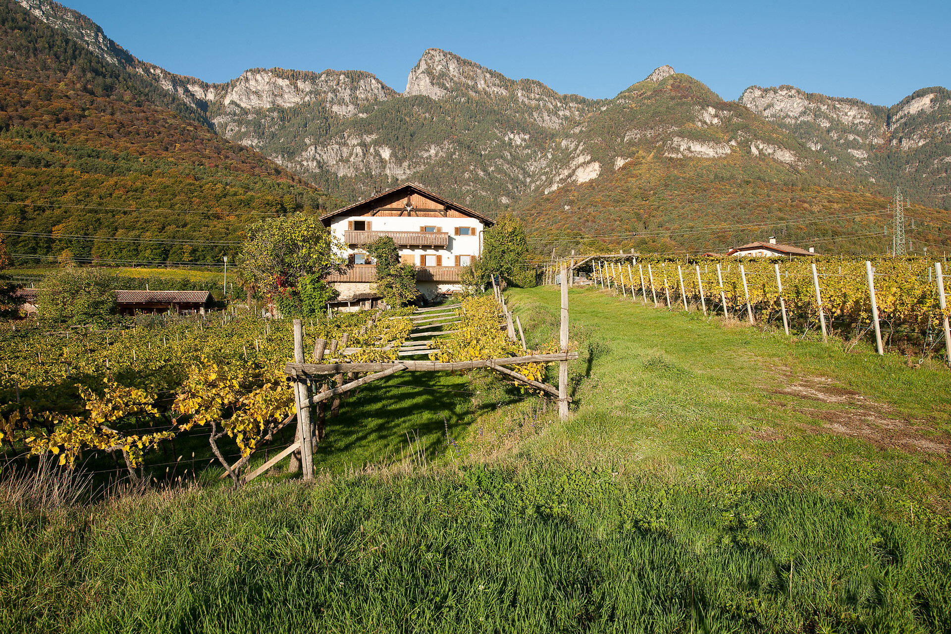 Eichenhof - Alto Adige Wine Road - #23 - suedtirol.info