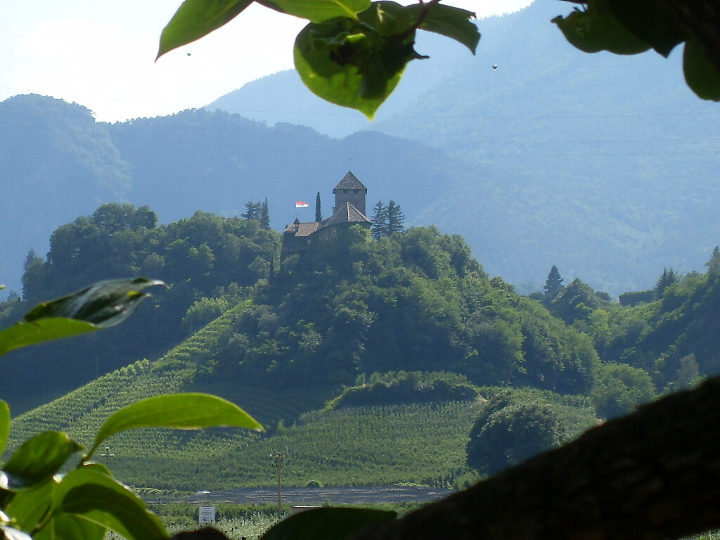 Aussicht auf Schloß Warth