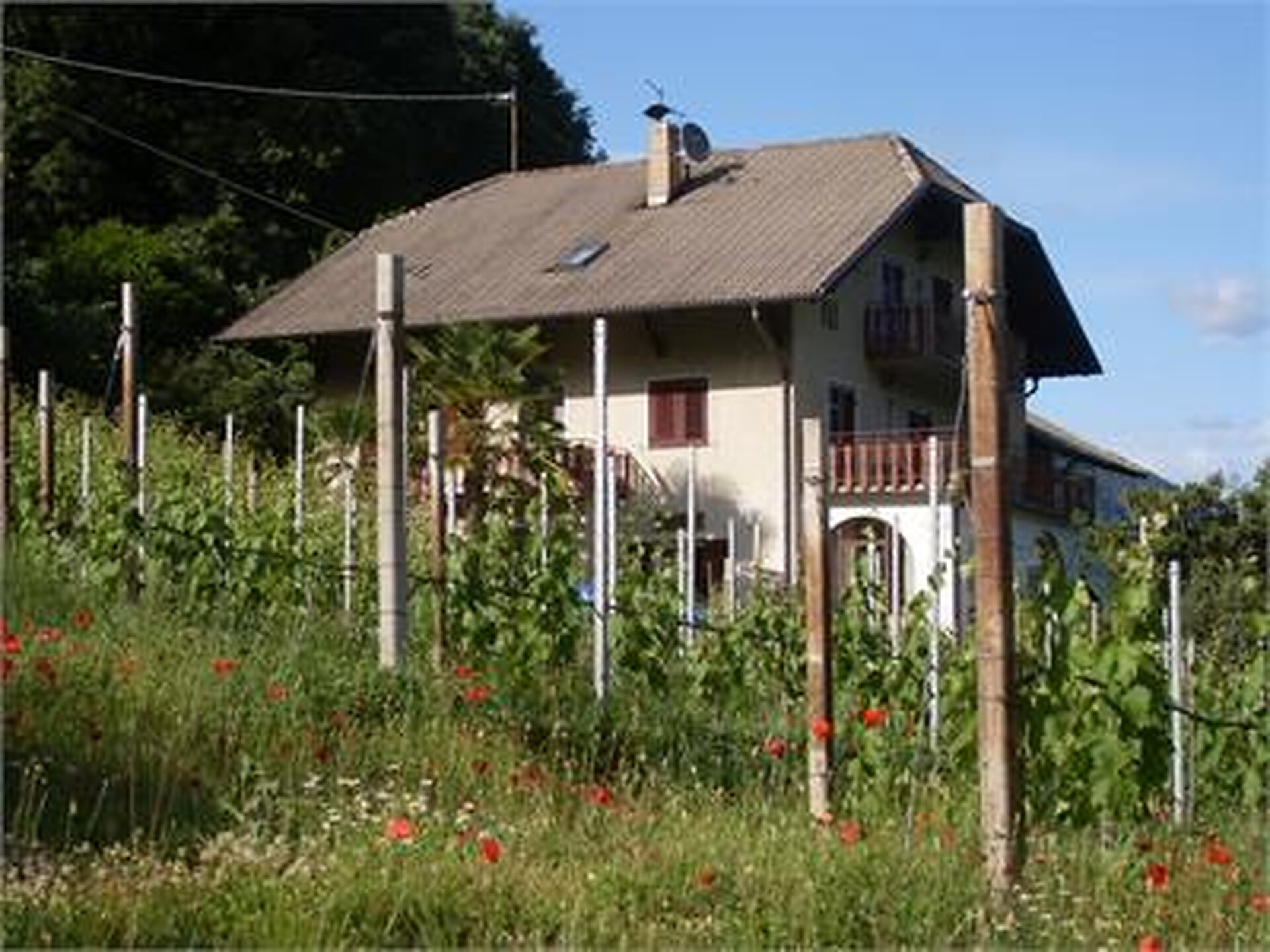 Erlenhof