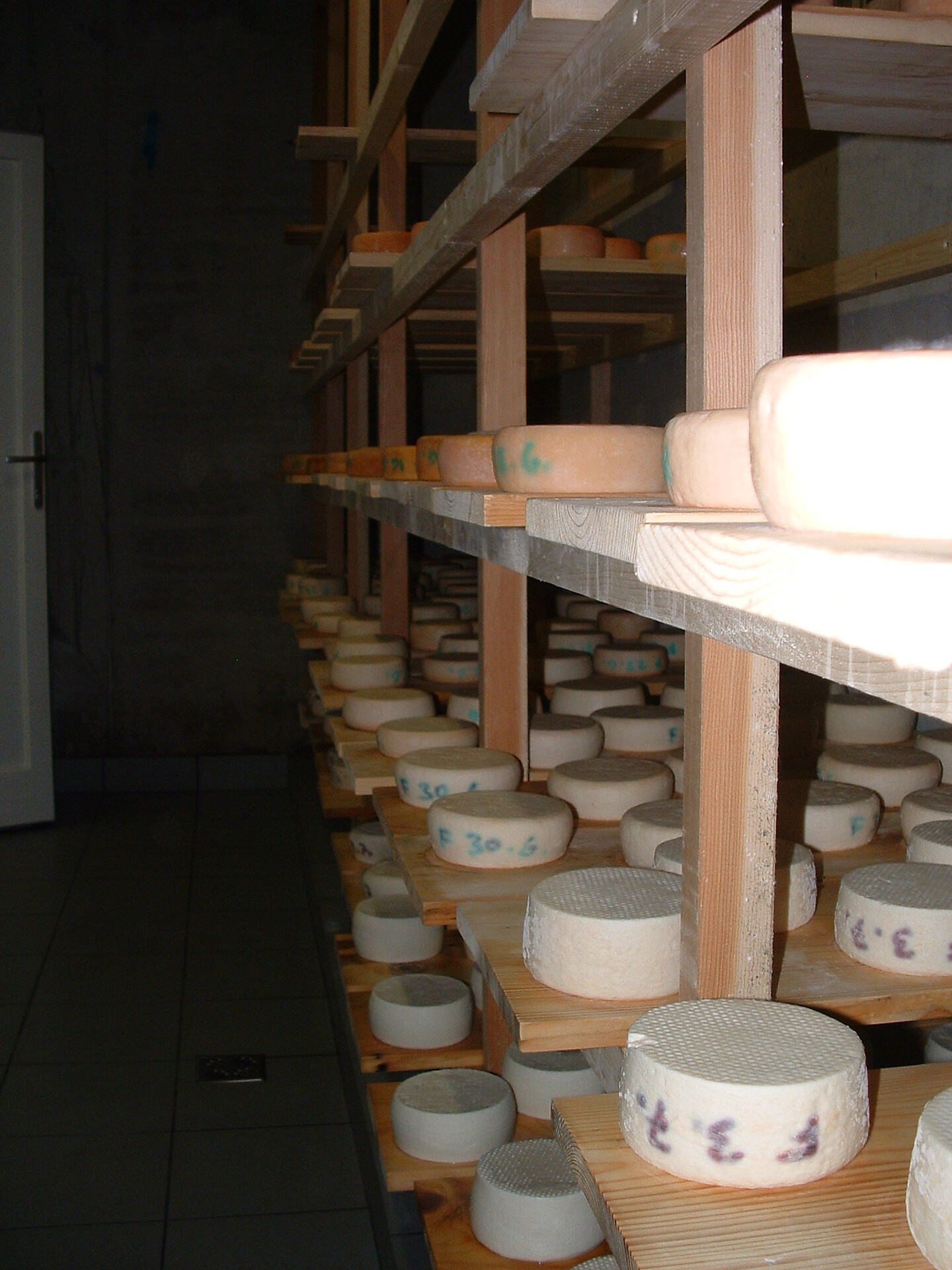 Cheese