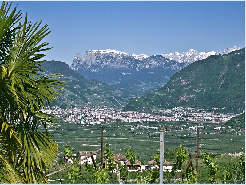 Panorama