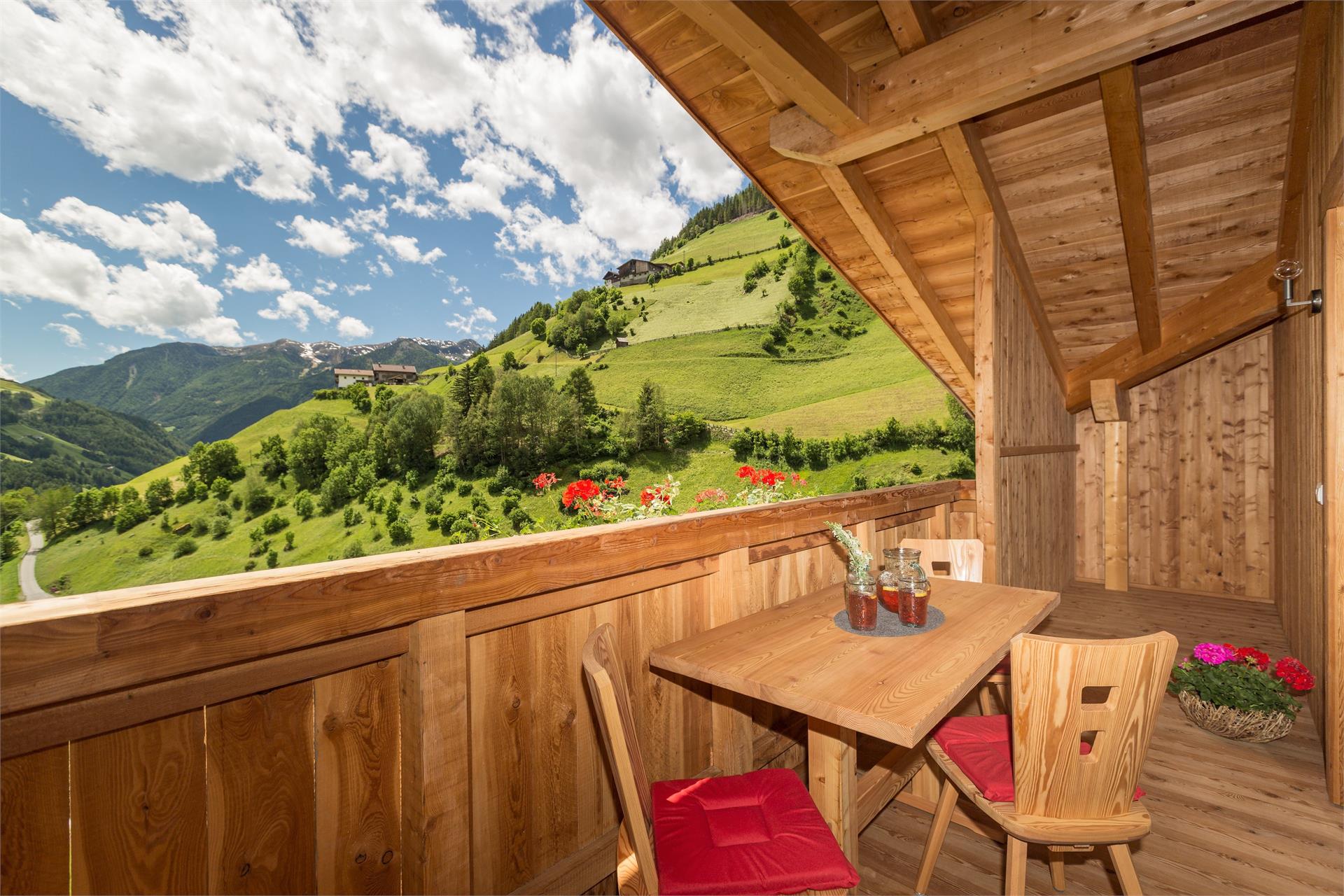 Enzianhof Nature Apartments Ahrntal/Valle Aurina 5 suedtirol.info