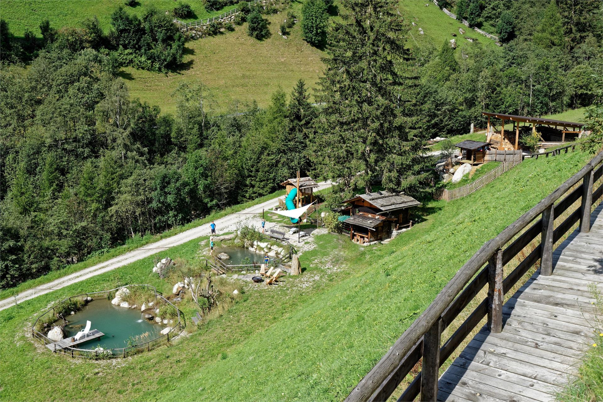 Enzianhof Nature Apartments Ahrntal/Valle Aurina 8 suedtirol.info