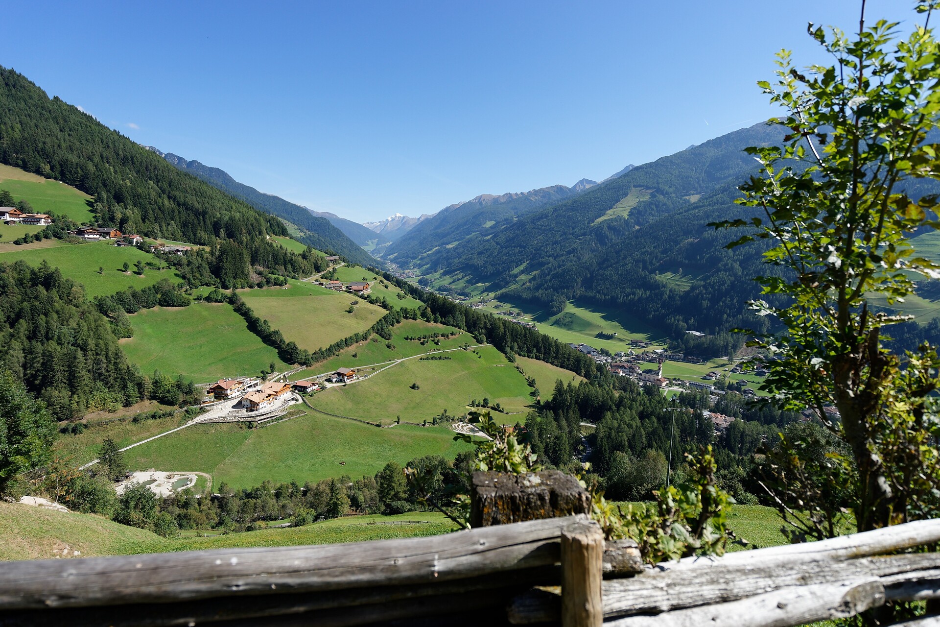 Enzianhof