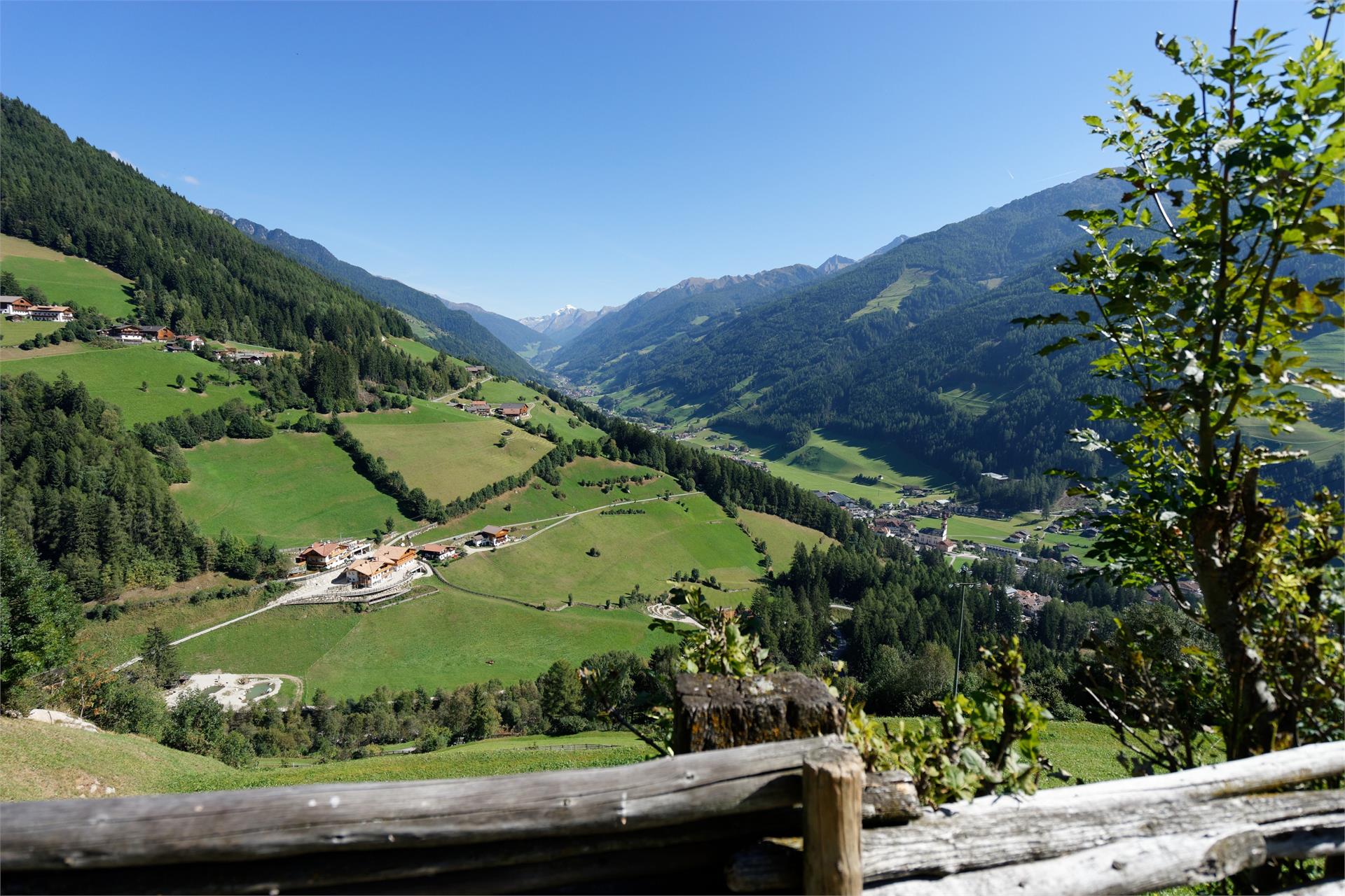 Enzianhof Nature Apartments Ahrntal/Valle Aurina 31 suedtirol.info