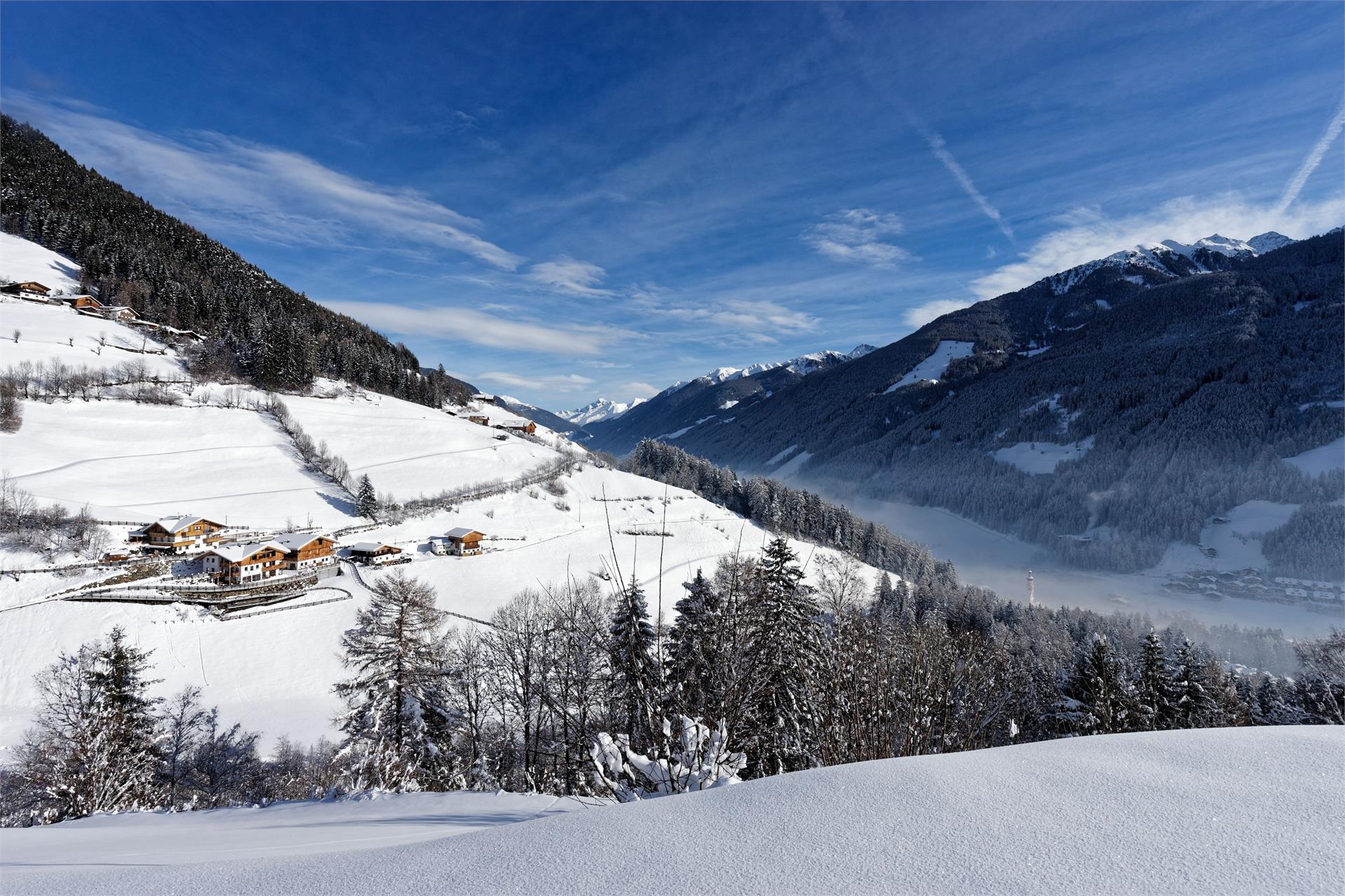 Enzianhof Nature Apartments Ahrntal/Valle Aurina 18 suedtirol.info