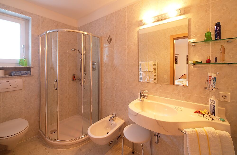 Erlhof Appartement Hotel Deluxe Ahrntal/Valle Aurina 15 suedtirol.info