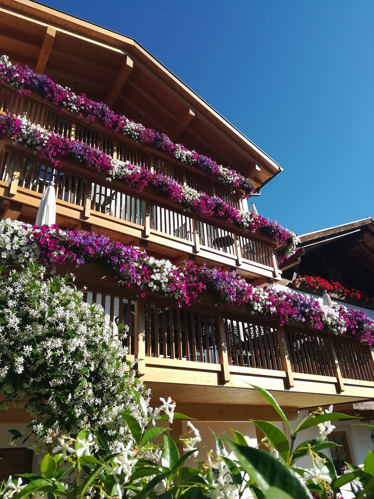 Engel Appartements