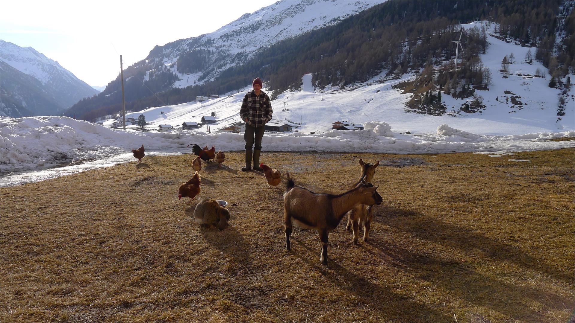 Ebnerhof Campo Tures 16 suedtirol.info