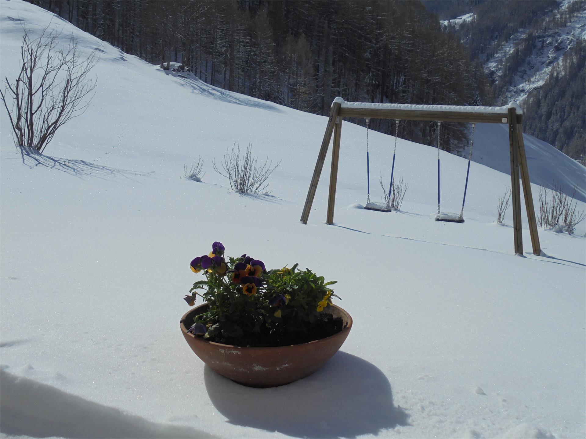 Ebnerhof Campo Tures 5 suedtirol.info