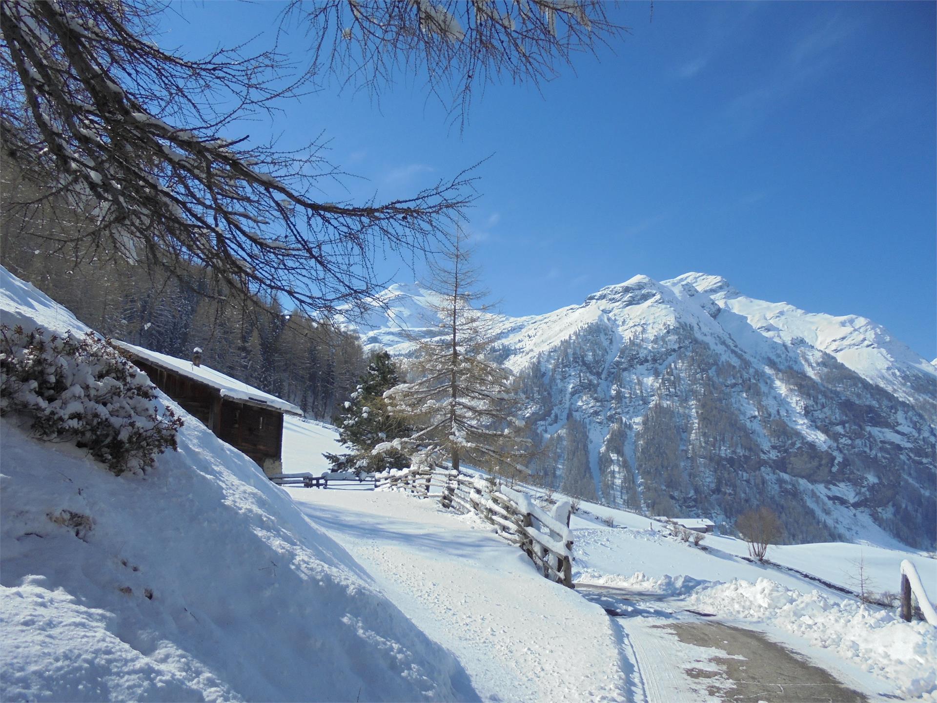 Ebnerhof Campo Tures 4 suedtirol.info