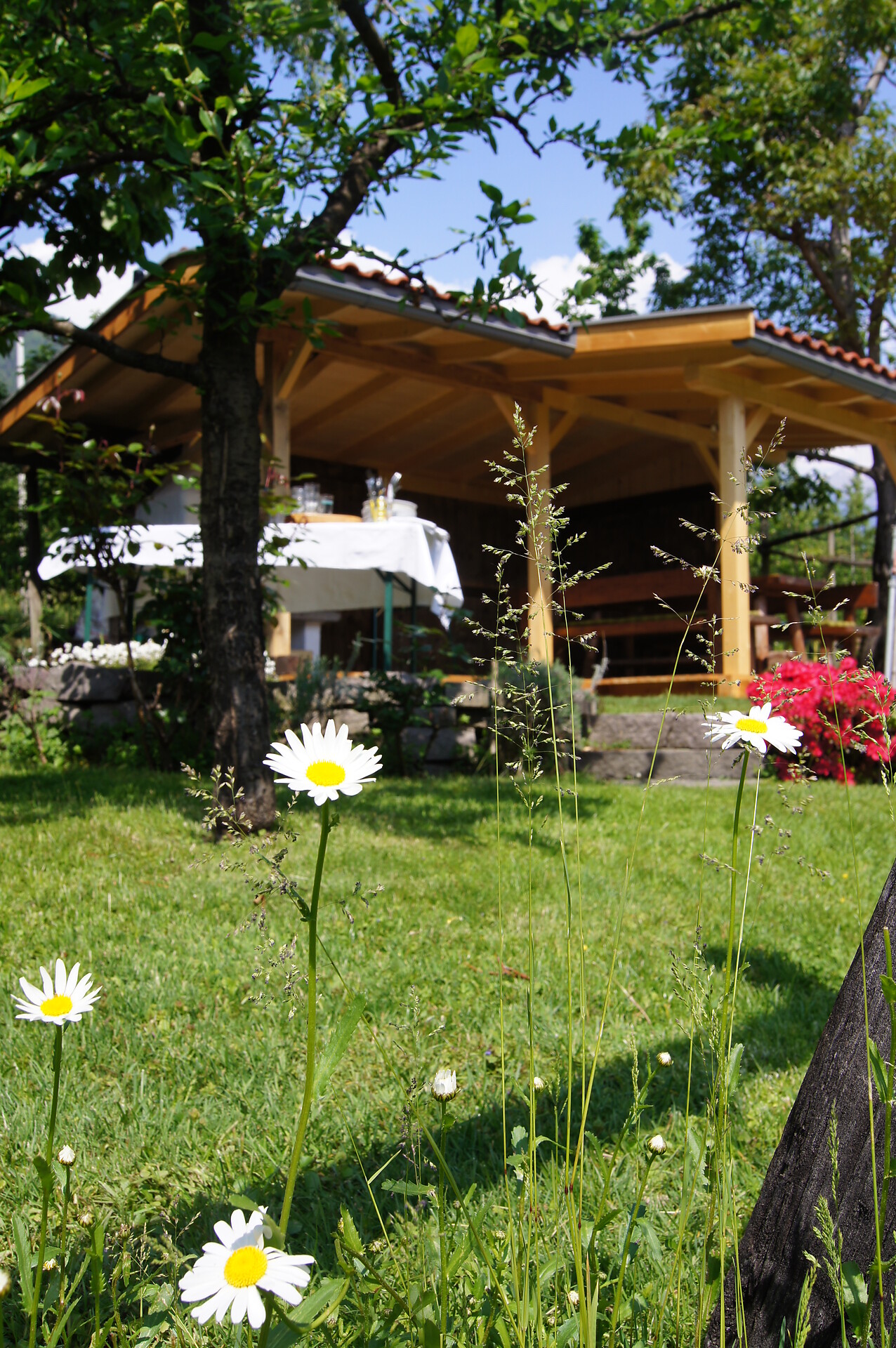 unser Garten