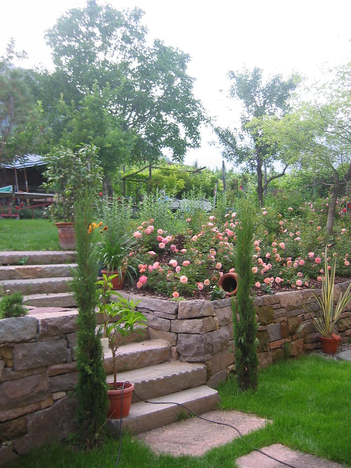 der Garten im Sommer