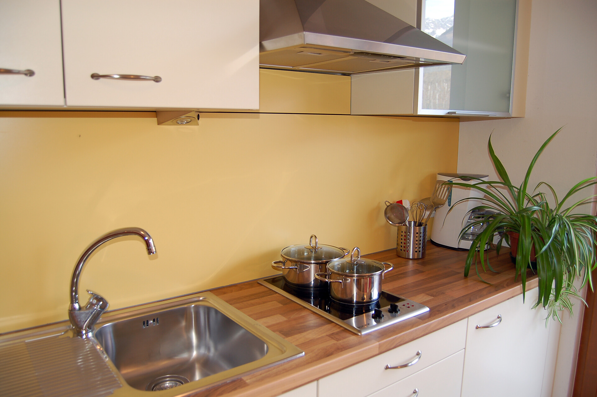 Lebenbergwohnung
