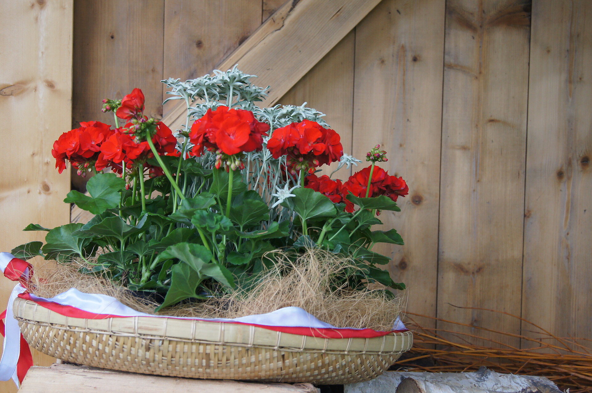 unsere Blumen