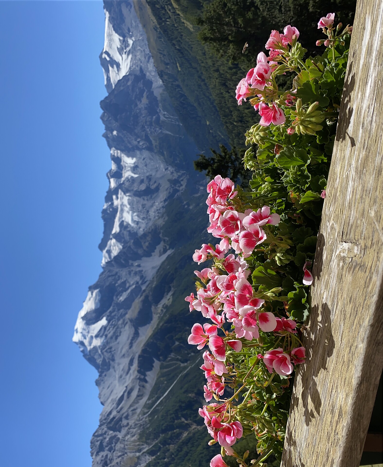 Ferienhaus Rosi Laas 7 suedtirol.info