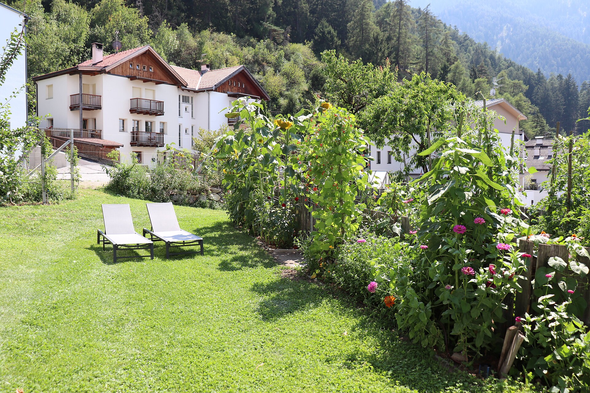 Appartamenti Draxlhof - Val Venosta - #4 - suedtirol.info