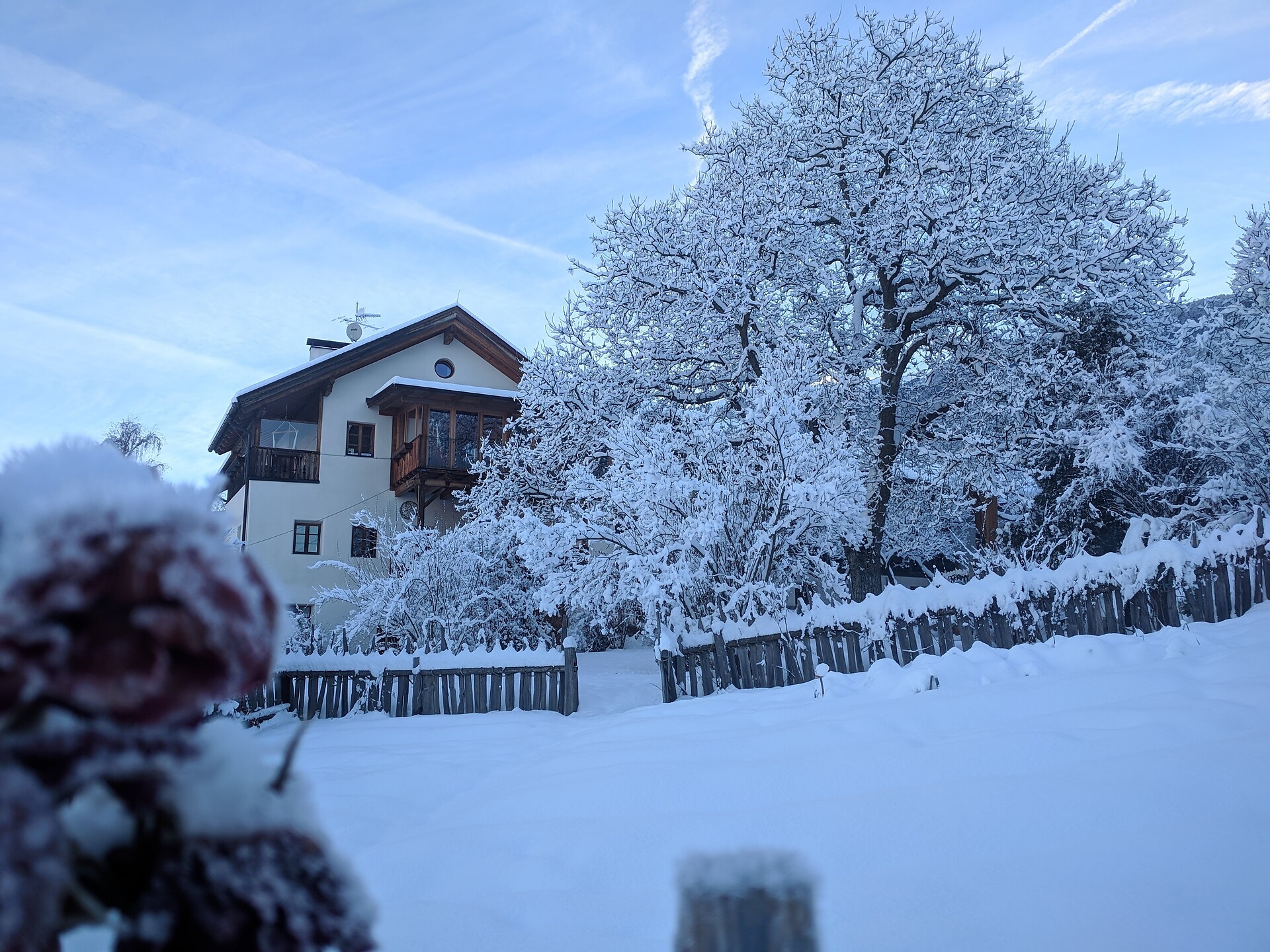 Winter
