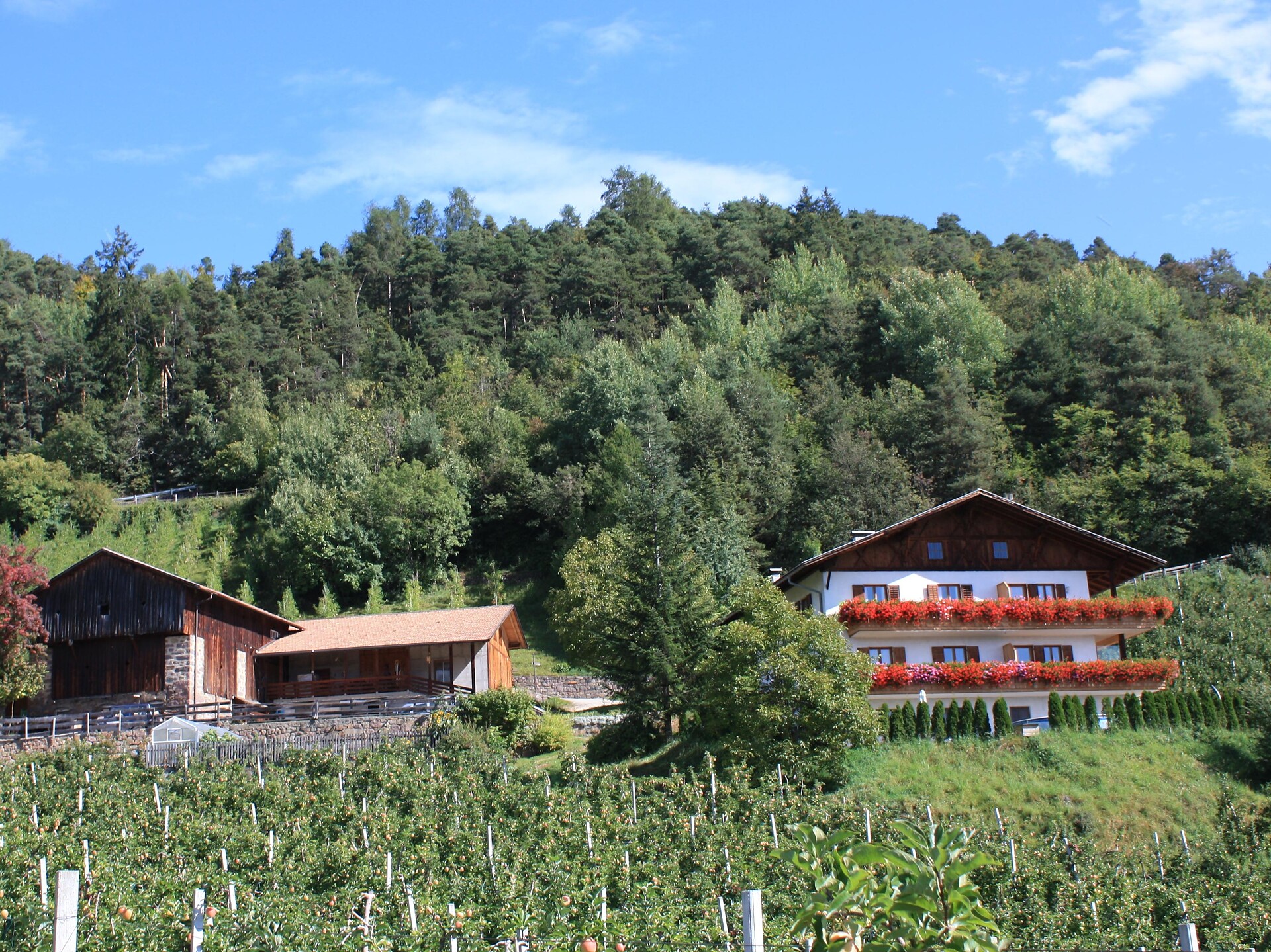Maso Masunerhof