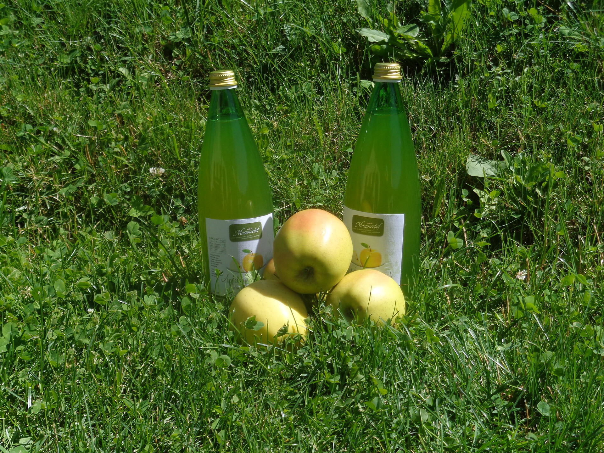 AlpineBits
