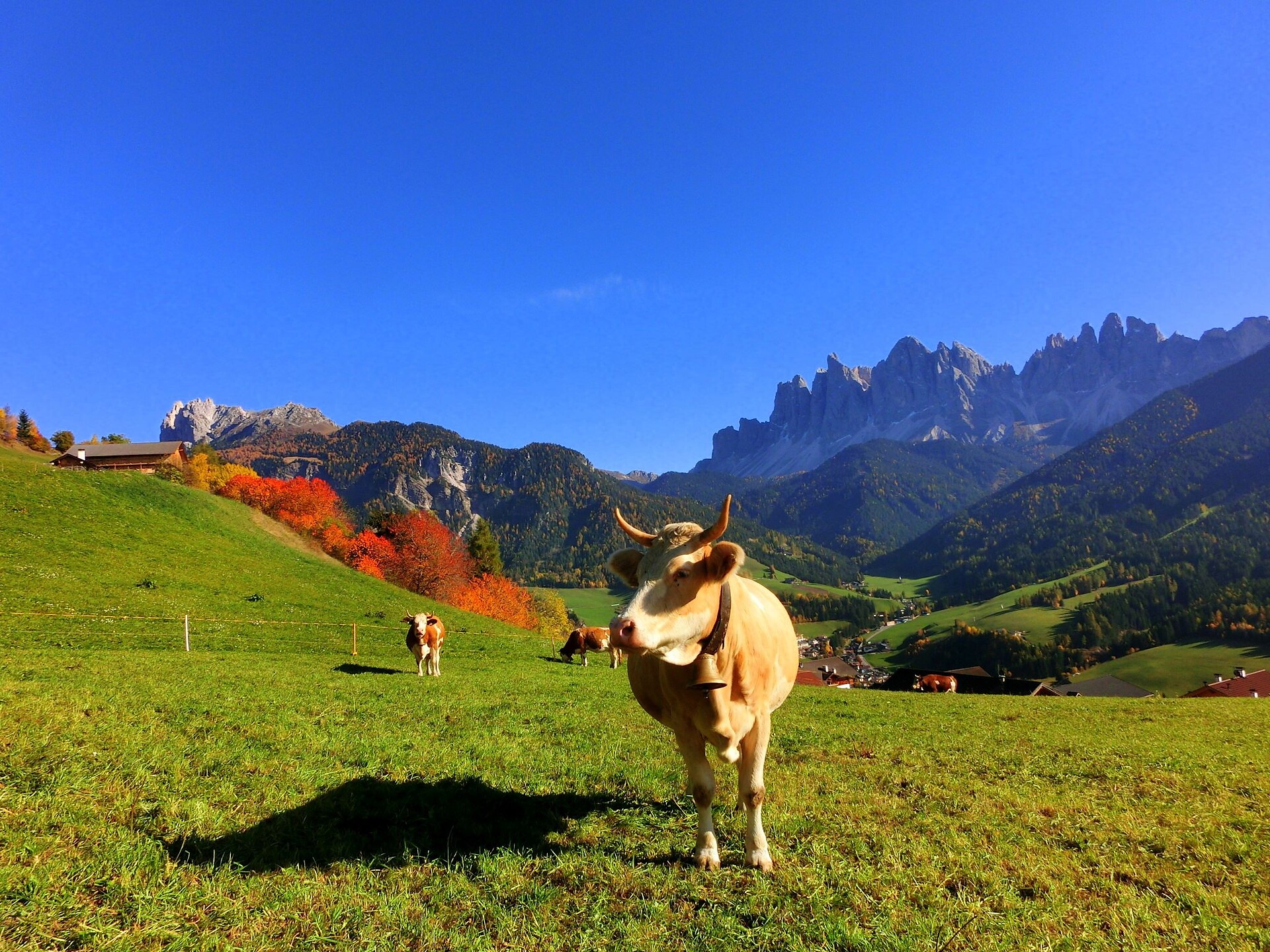 Herbst