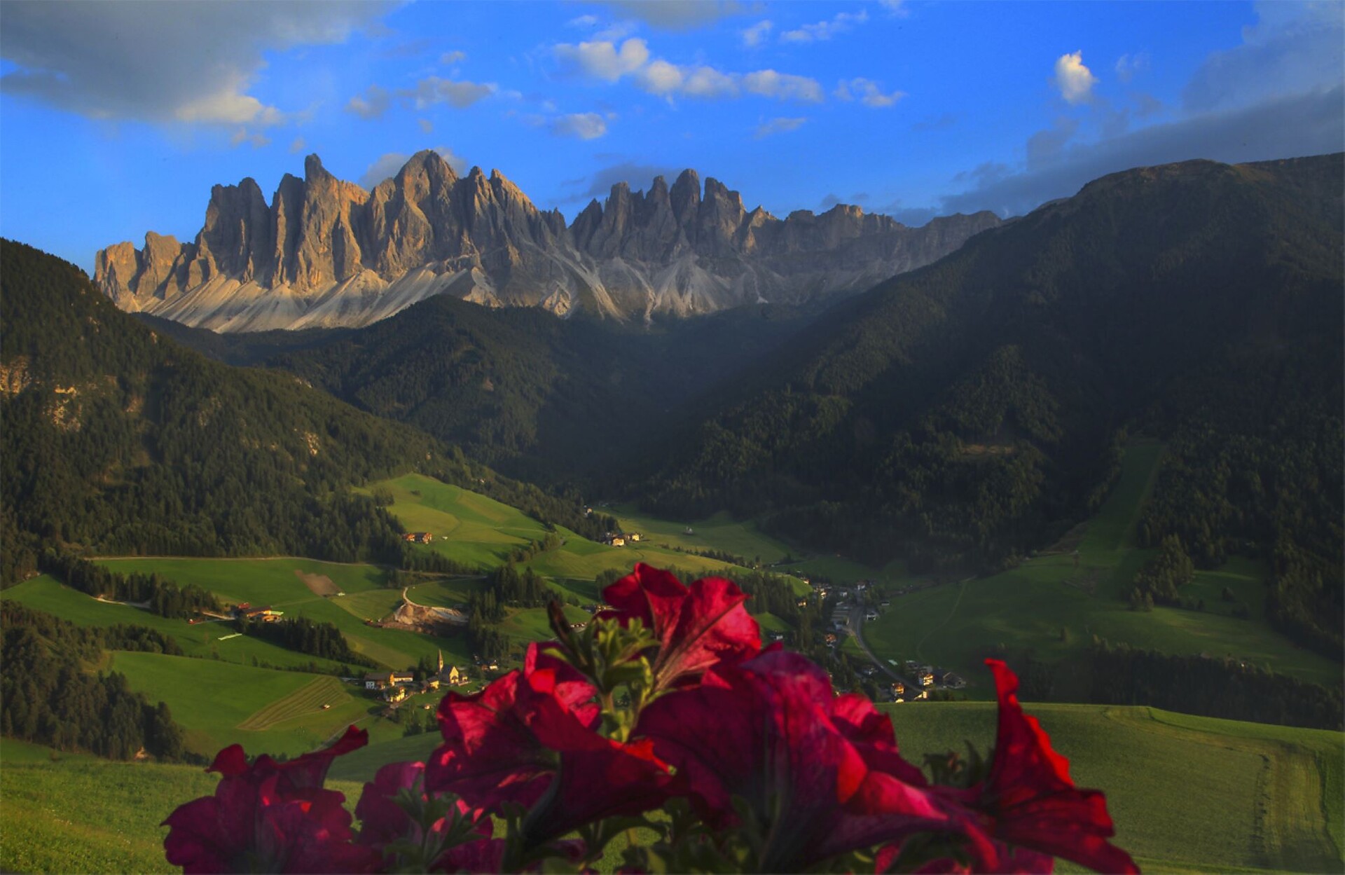 Ausblick vom Baökon