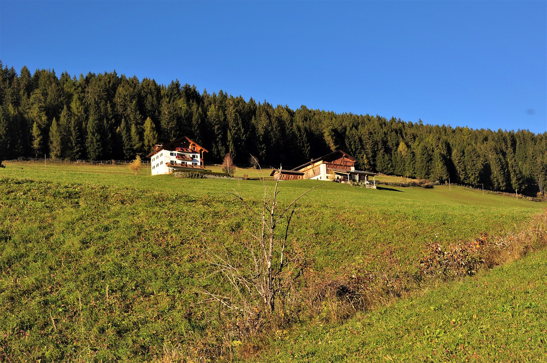 Herbst