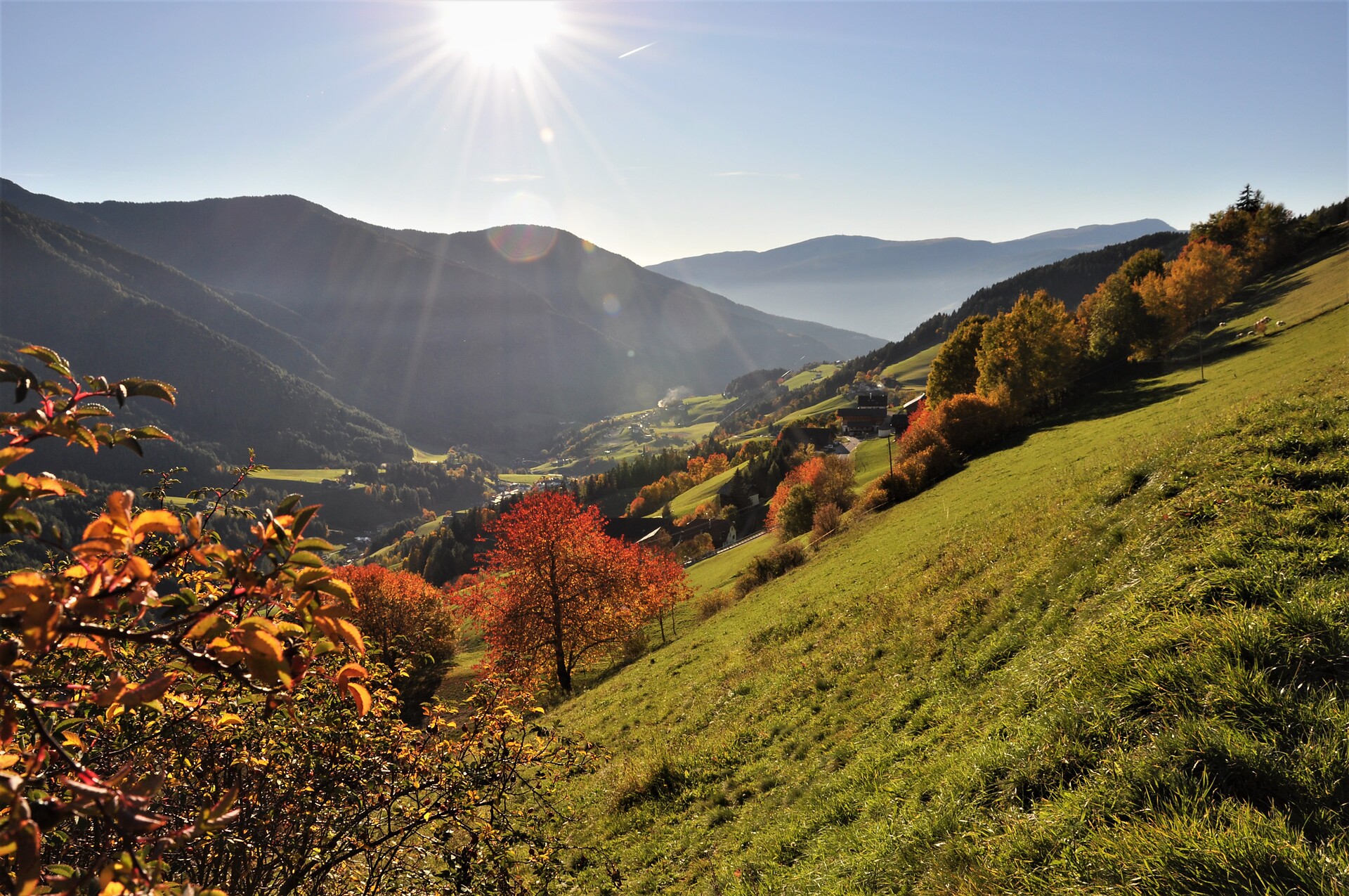 Herbst