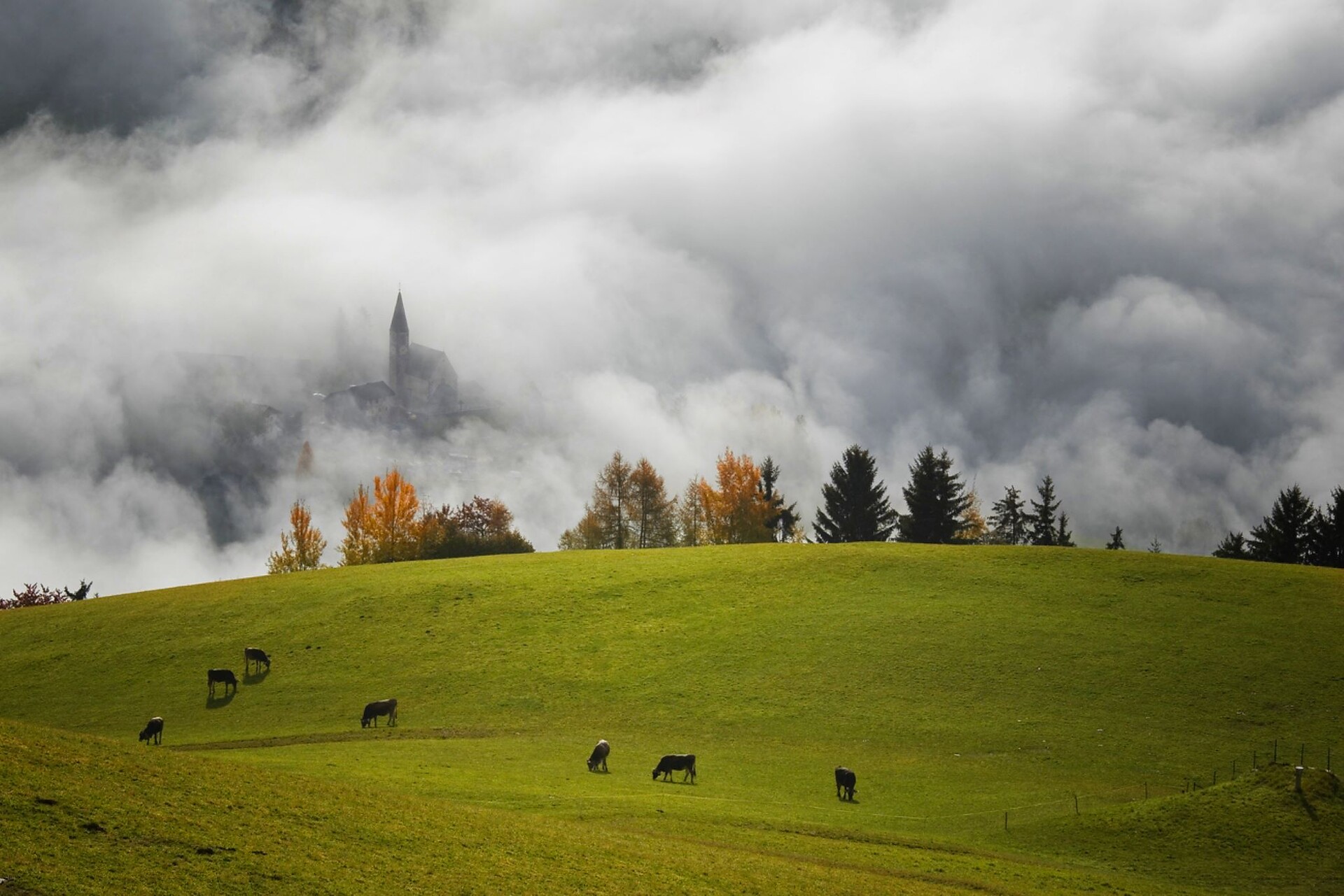 Nebel