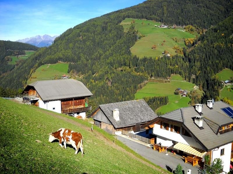 Felderhof San Lorenzo di Sebato 15 suedtirol.info