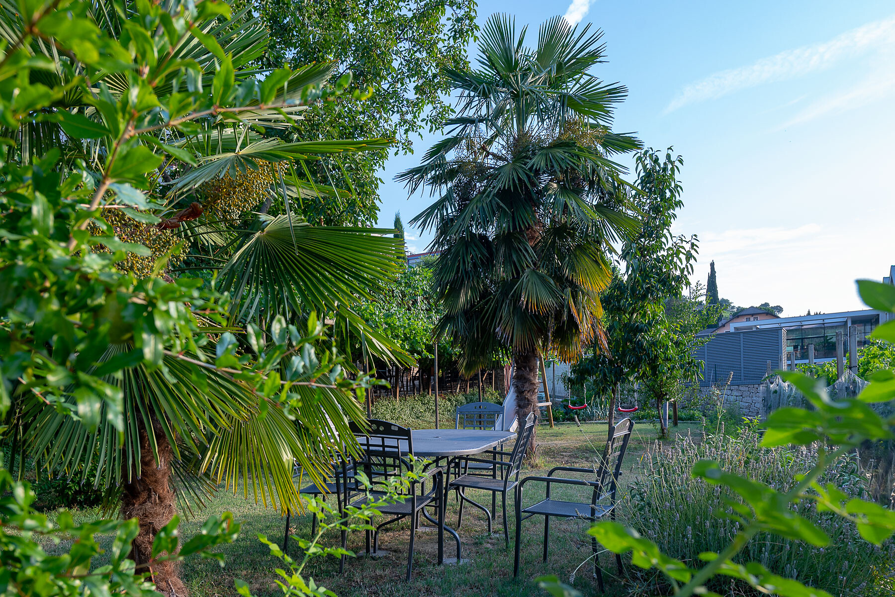mediterranean garden with palm trees