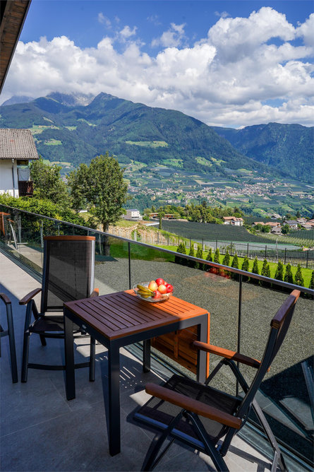 Apartments Laimer in Haslach Tirol/Tirolo 6 suedtirol.info