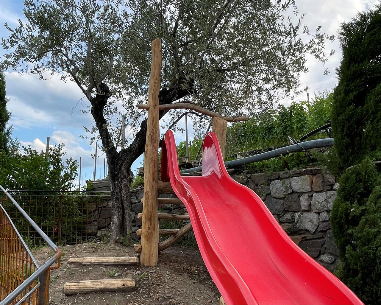 Slide 17