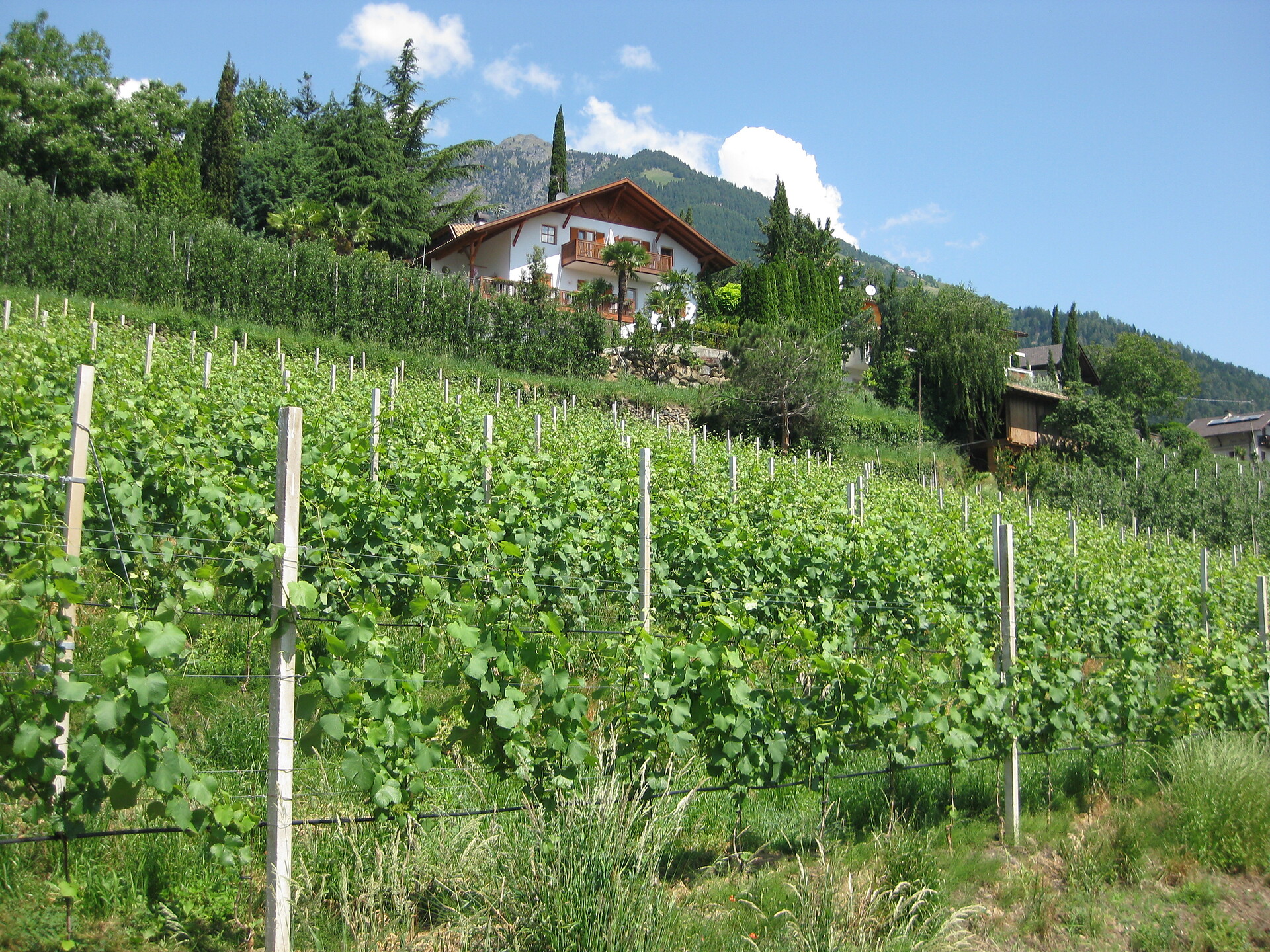 Südwestansicht