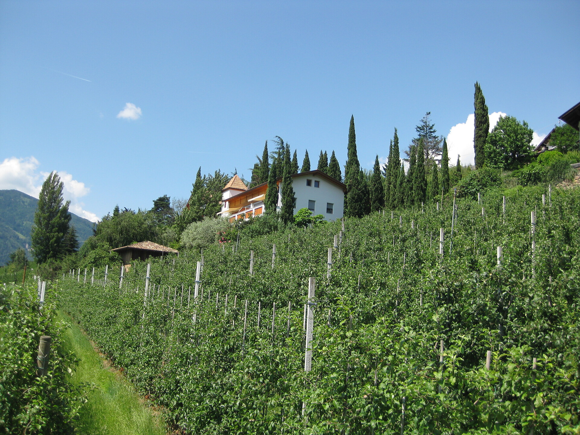 Südostansicht